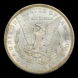 1891-cc Morgan Dollar Near Top Pop $1 ms66+ SEGS