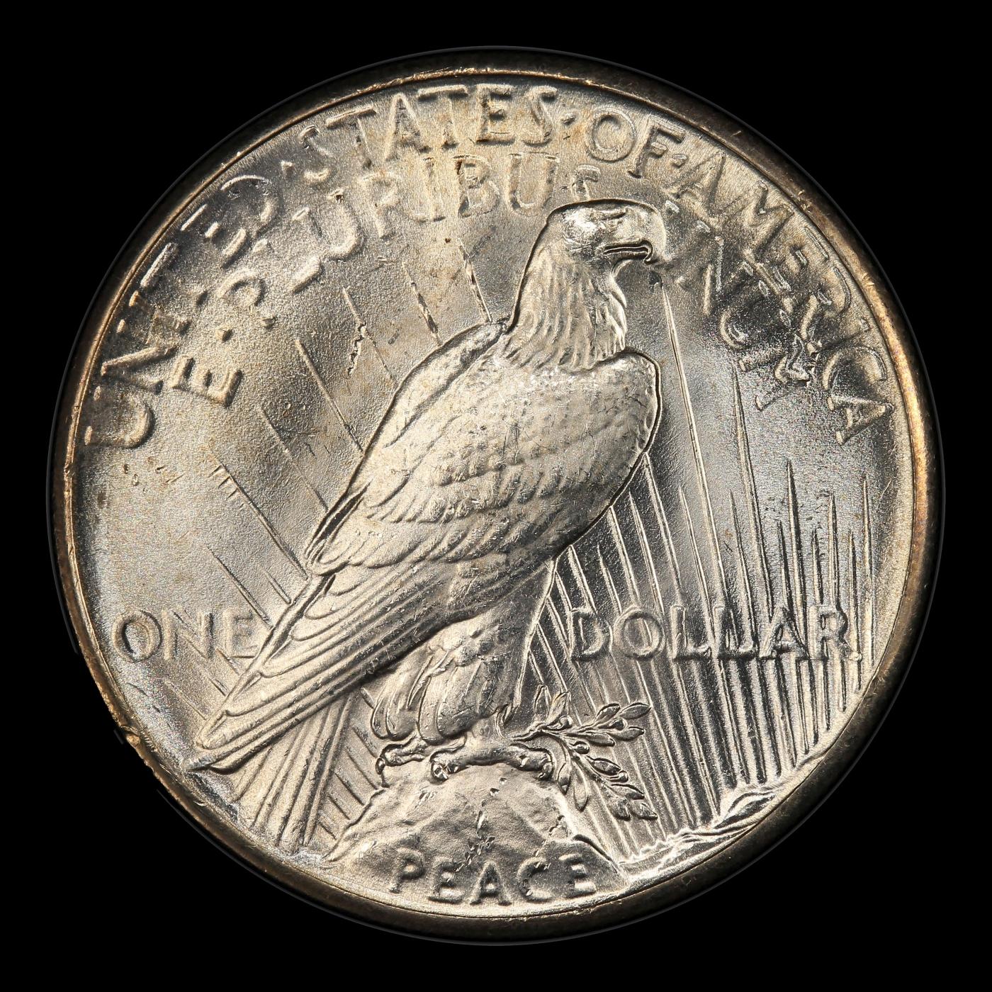 1928-p Peace Dollar $1 ms65 SEGS
