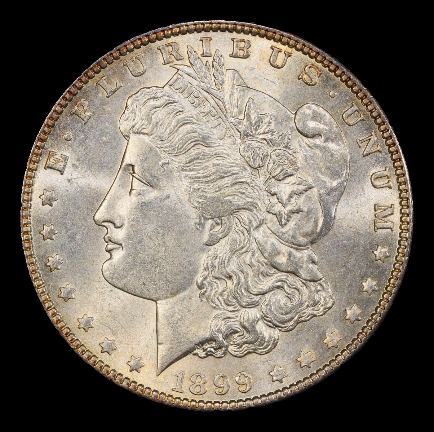 1899-p Morgan Dollar $1 ms65+ SEGS
