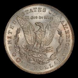 1878-p 7tf Morgan Dollar Near Top Pop $1 ms66+ SEGS