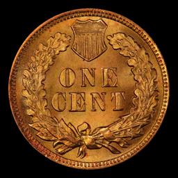 1903 Indian Cent Near Top Pop! 1c ms66+ rd SEGS
