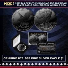 2025 Black Ruthenium Plated 1oz American Silver Eagle Coin, BU Coin w/ Box & COA Other Toy