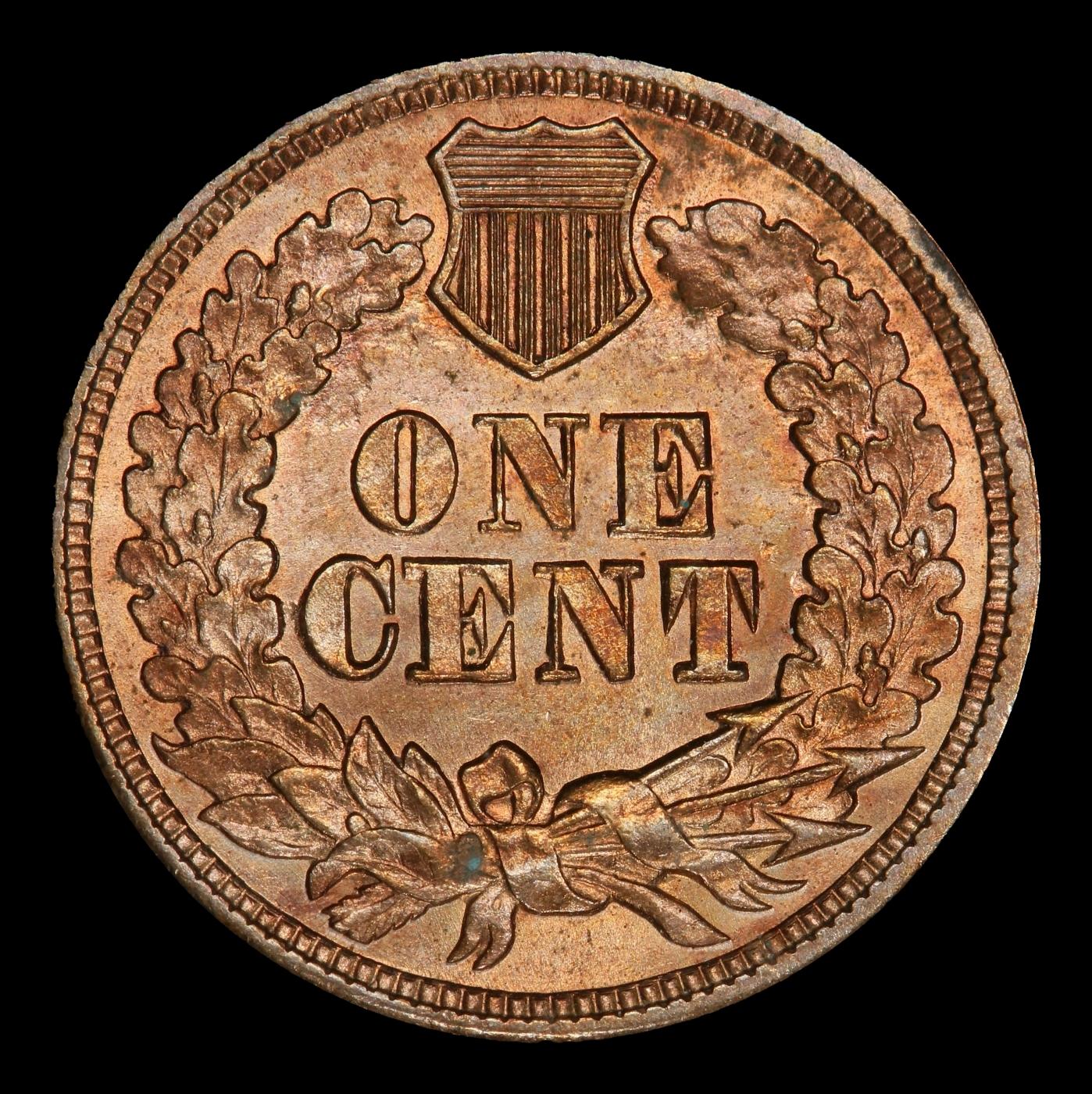 1863 Indian Cent 1c ms65+ SEGS