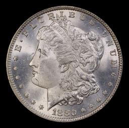 1880-p Morgan Dollar $1 Grades ms64+