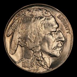 1929-s Buffalo Nickel 5c ms66 SEGS