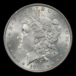 1880-p Morgan Dollar $1 Grades ms63+