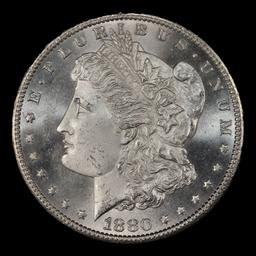 1880-s Morgan Dollar $1 Grades ms65+