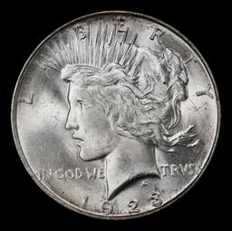 1923-d Peace Dollar $1 Grades ms64+