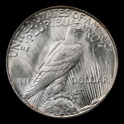 1923-d Peace Dollar $1 Grades ms64+