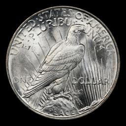 1922-d Peace Dollar Near Top Pop $1 ms67 SEGS
