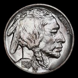 1919-s Buffalo Nickel TOP POP! 5c ms66 SEGS