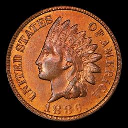 1886 Ty II Indian Cent TOP POP! 1c ms66 rb SEGS