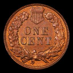 1886 Ty II Indian Cent TOP POP! 1c ms66 rb SEGS