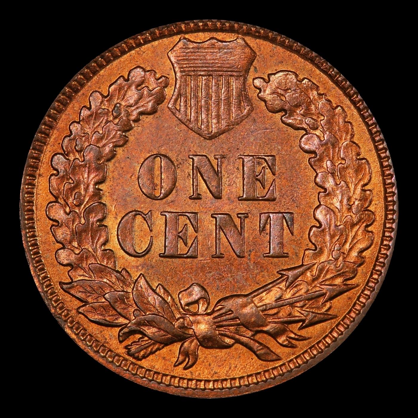 1886 Ty II Indian Cent TOP POP! 1c ms66 rb SEGS