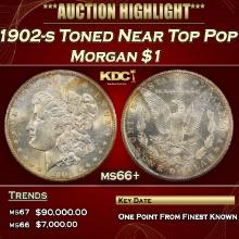 1902-s Morgan Dollar Toned Near Top Pop $1 ms66+ SEGS