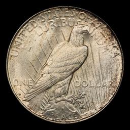 1923-d Peace Dollar Toned Near Top Pop $1 ms66+ SEGS