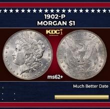 1902-p Morgan Dollar $1 Grades ms62+