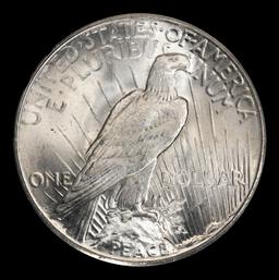 1924-s Peace Dollar TOP POP! $1 ms66 SEGS