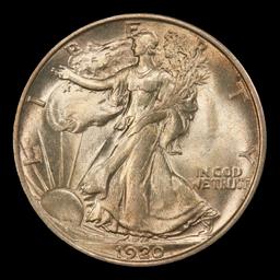 1920-p Walking Liberty Half Dollar Toned TOP POP! 50c ms66 SEGS