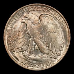 1920-p Walking Liberty Half Dollar Toned TOP POP! 50c ms66 SEGS