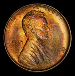 1909 VDB Lincoln Cent Near Top Pop 1c ms67+ rb SEGS