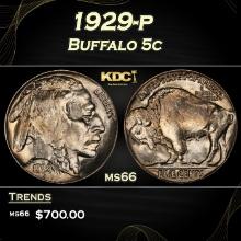 1929-p Buffalo Nickel 5c Grades ms66