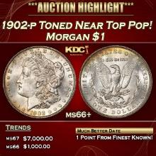 1902-p Morgan Dollar Toned Near Top Pop! $1 ms66+ SEGS
