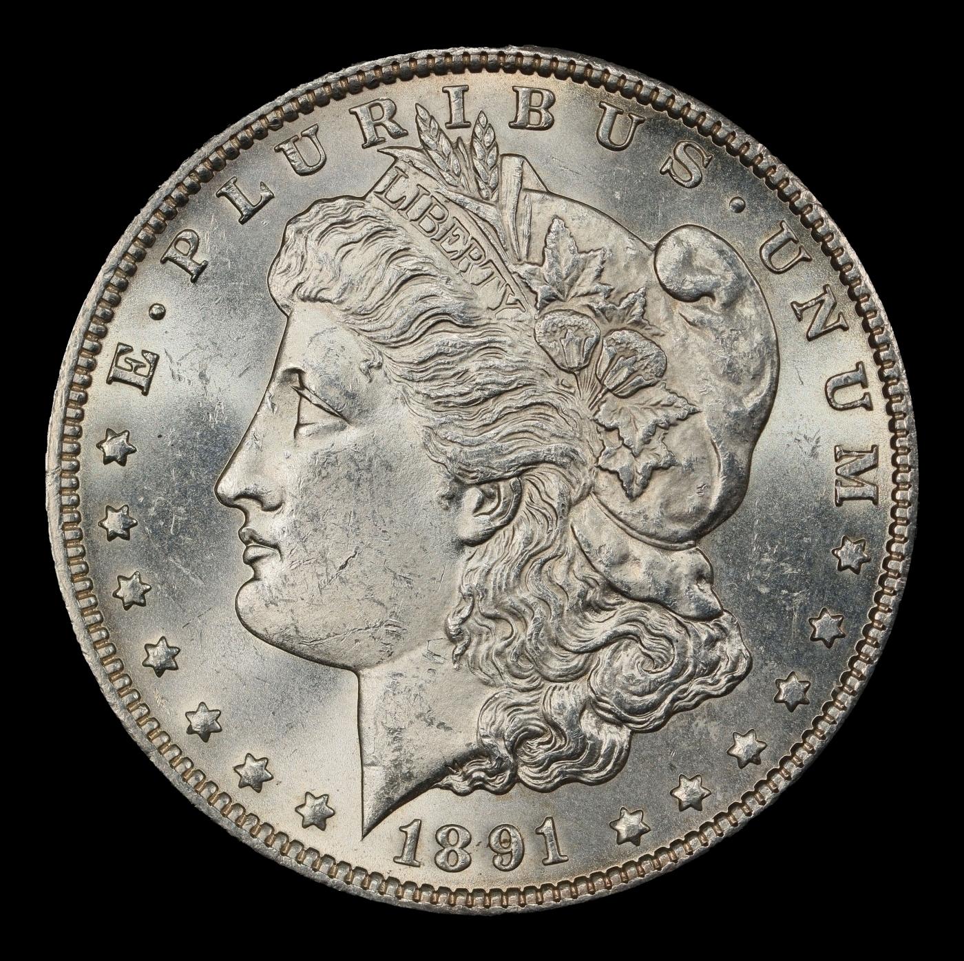 1891-cc Morgan Dollar $1 ms64+ SEGS