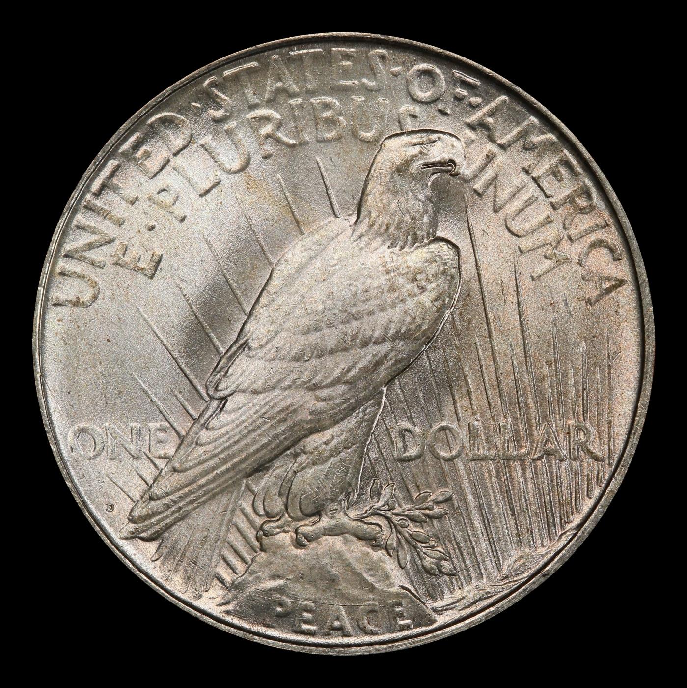 1922-d Peace Dollar $1 ms66 SEGS