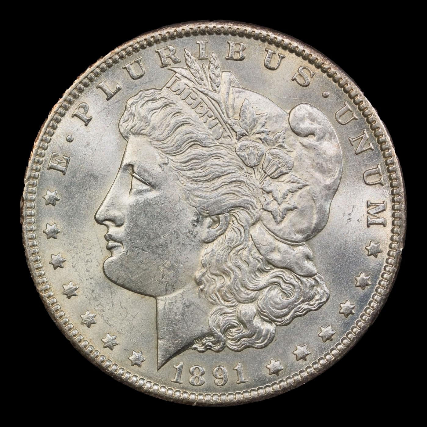1891-cc Morgan Dollar $1 ms64+ SEGS