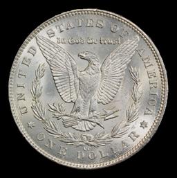 1891-cc Morgan Dollar $1 ms64+ SEGS