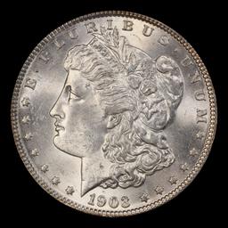 1903-p Morgan Dollar $1 Grades ms62+