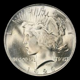 1923-p Peace Dollar Near Top Pop $1 ms66+ SEGS