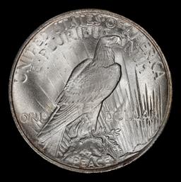 1923-p Peace Dollar Near Top Pop $1 ms66+ SEGS