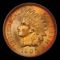 1905 Indian Cent Near Top Pop! 1c ms66 rd SEGS