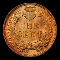 1905 Indian Cent Near Top Pop! 1c ms66 rd SEGS