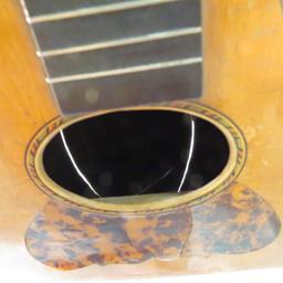 Antique Bowl Back Mandolin with case repairable