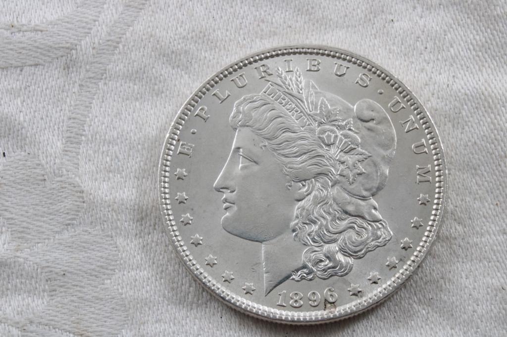 1896 Morgan Silver Dollar