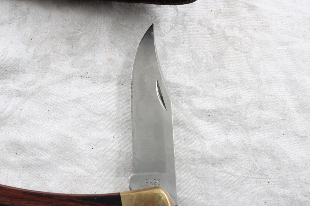 Buck Folding Lock Blade 110C Knife w/sheath