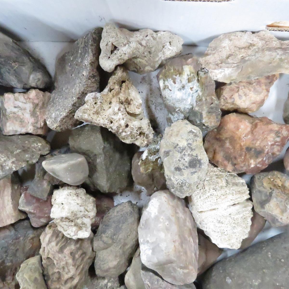 40+ pounds mixed rocks and minerals