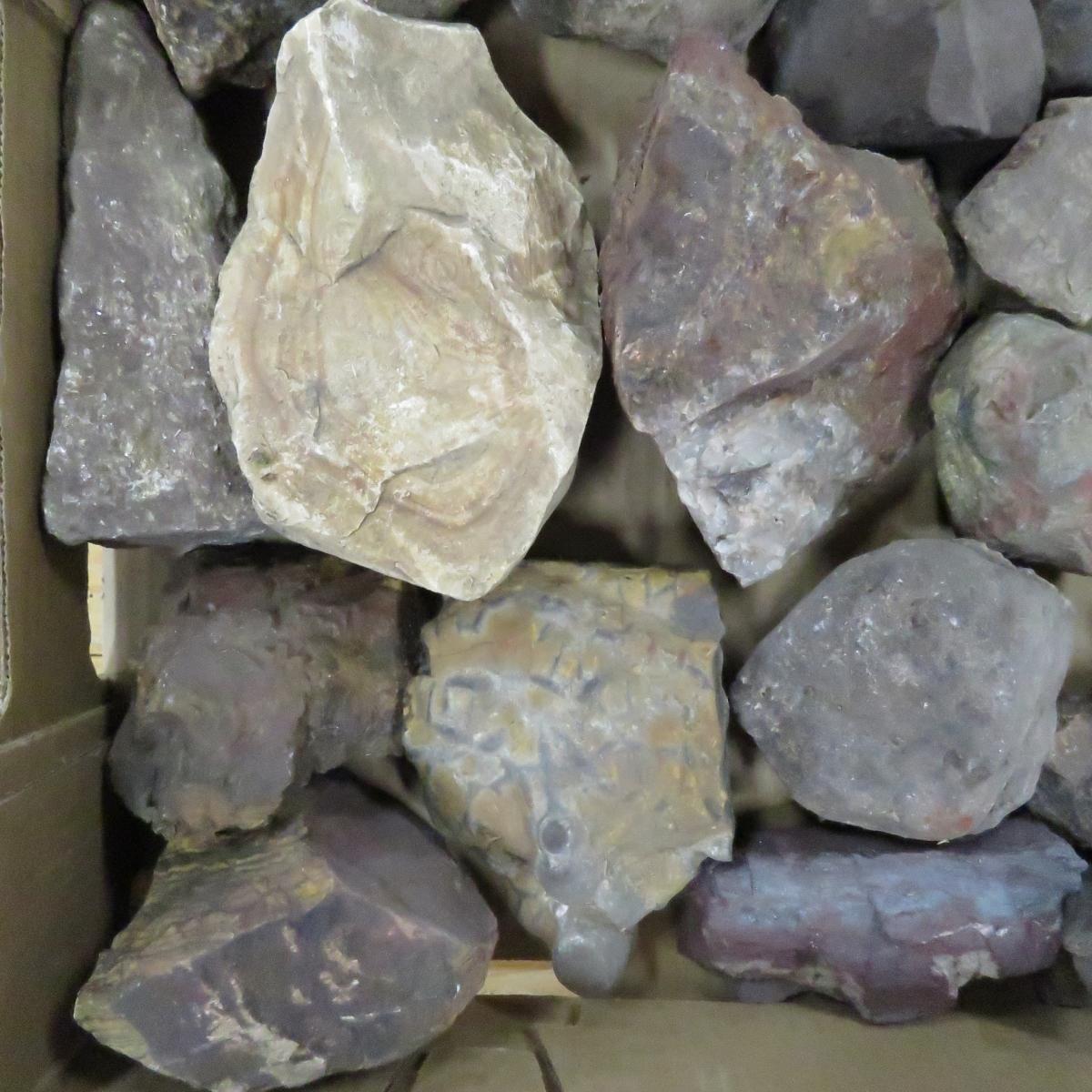 30 pounds mixed rocks, fossils, minerals