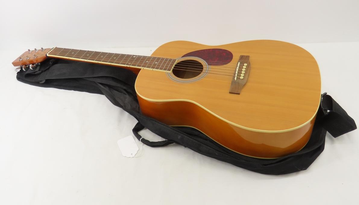 Spectrum Acoustic and Classic guitar in case