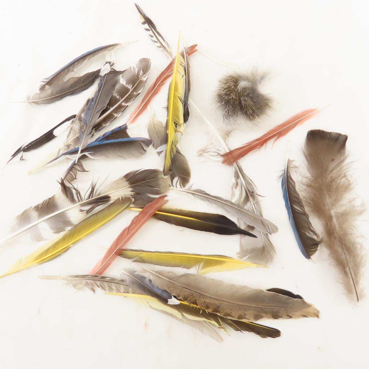 Feathers, buckskins and pelts