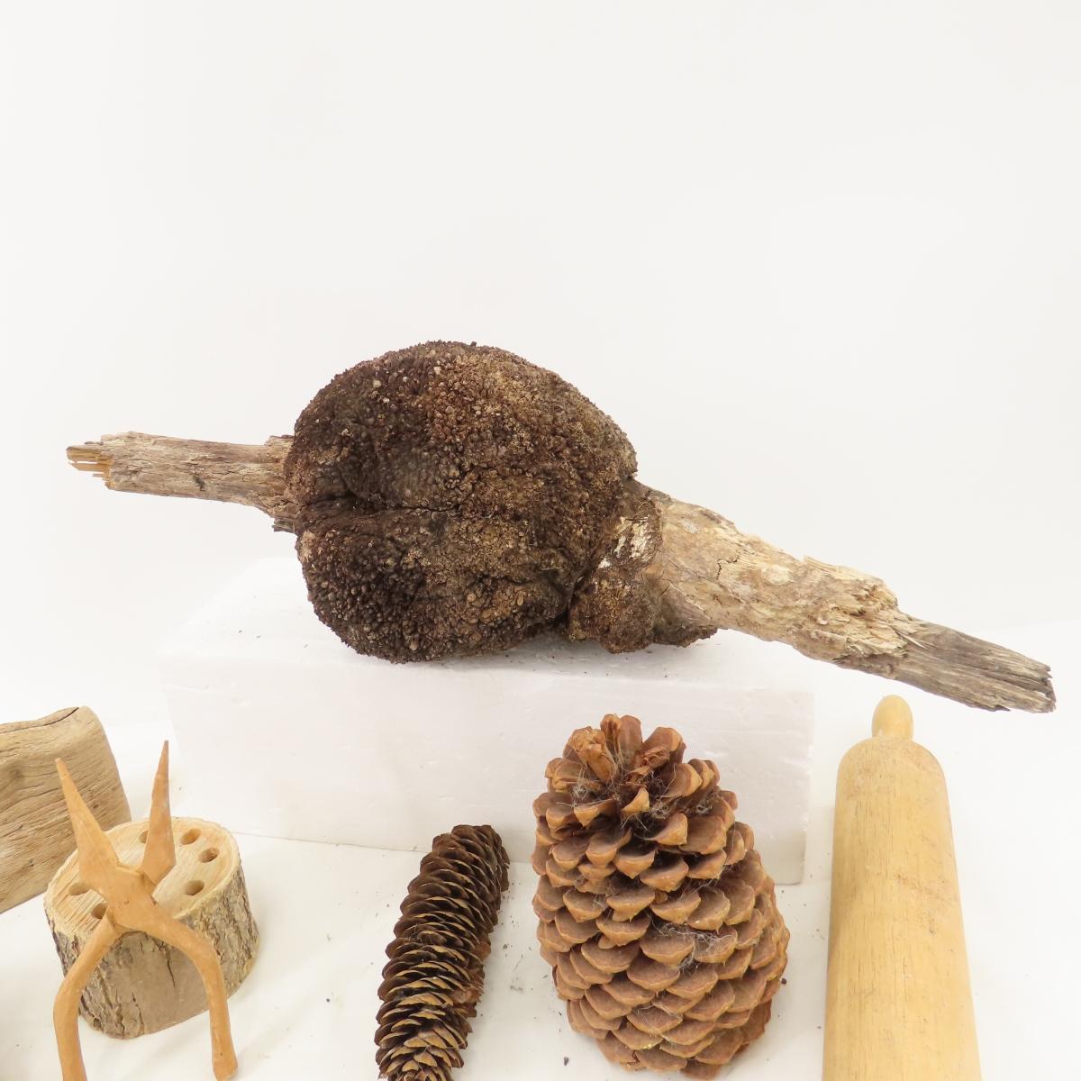 Natural wood burl, pine cones, blocks & more