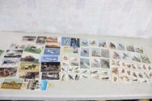 17 Misc. & 17 Bird Postcards, 40 Bird Trade Cards