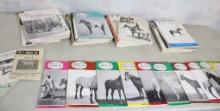 1960's & 70s Pony of The Americas Magazines 75+
