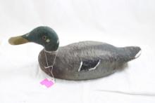 16" Wood Duck Decoy with Glass Eyes