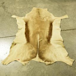 Lot # 4577 - African Antelope hide (44” x 30”)