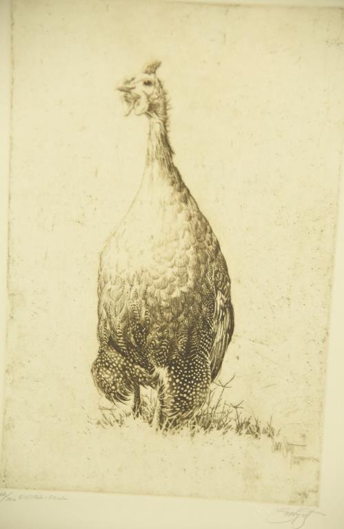 Lot # 4193 - Limited edition “Guinea-Fowl” by Sandy Scott. Print is signed by the artist in