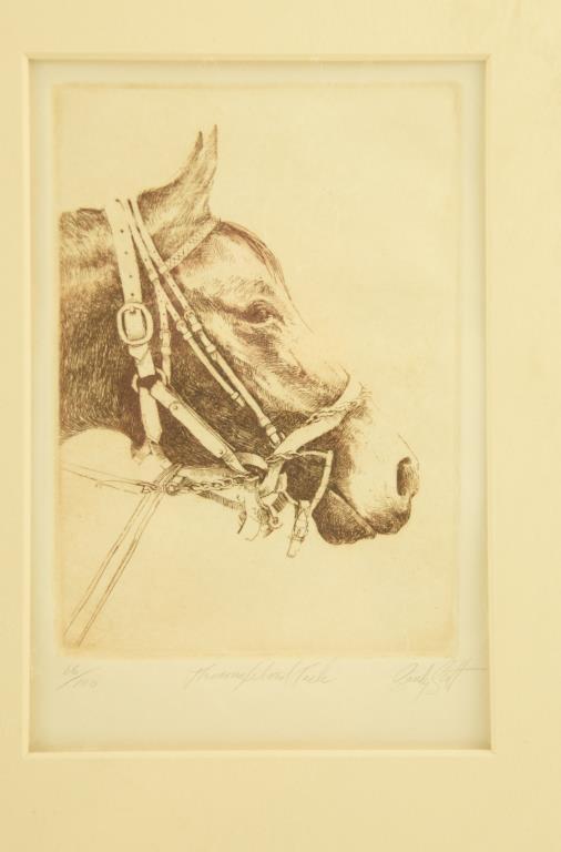 Lot # 4203 - (3) Etchings of animals by Sandy Scott to include “Thoroughbred Tack”, “Dominique